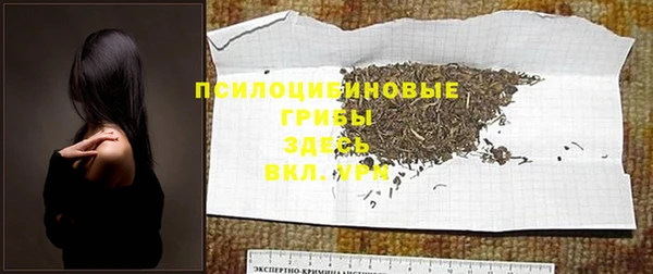 бошки Верхний Тагил