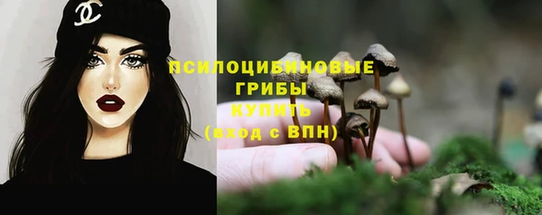 бошки Верхний Тагил