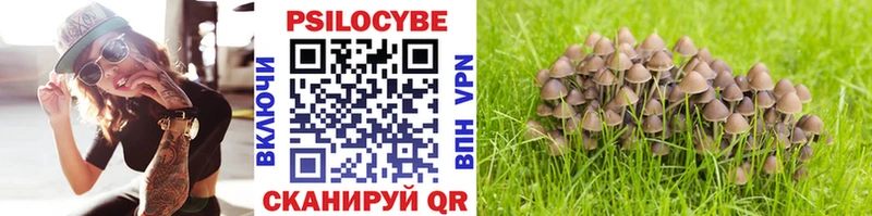 Псилоцибиновые грибы Psilocybine cubensis  Купить где  Гулькевичи 